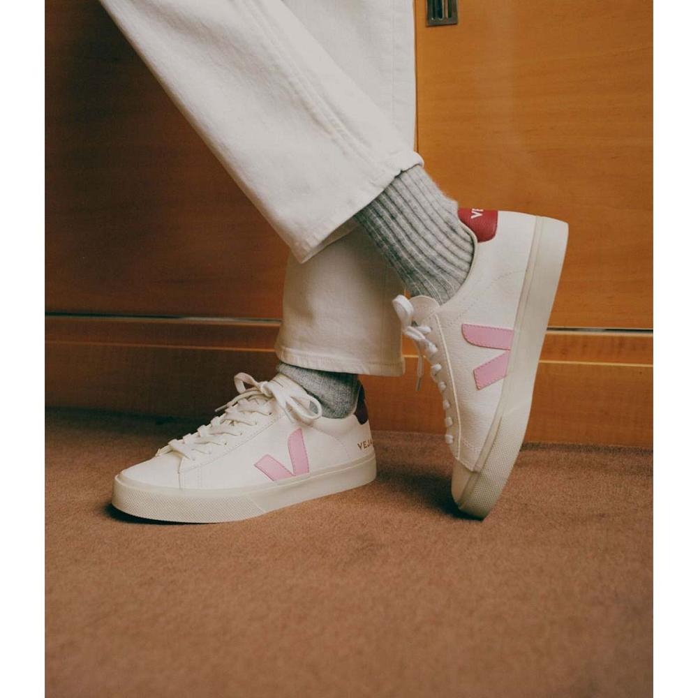 Veja CAMPO CHROMEFREE Low Tops Sneakers Panske White/Pink | SK 293YXF